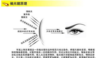 时尚与运动的完美结合 特别推荐GD100太阳眼镜套装